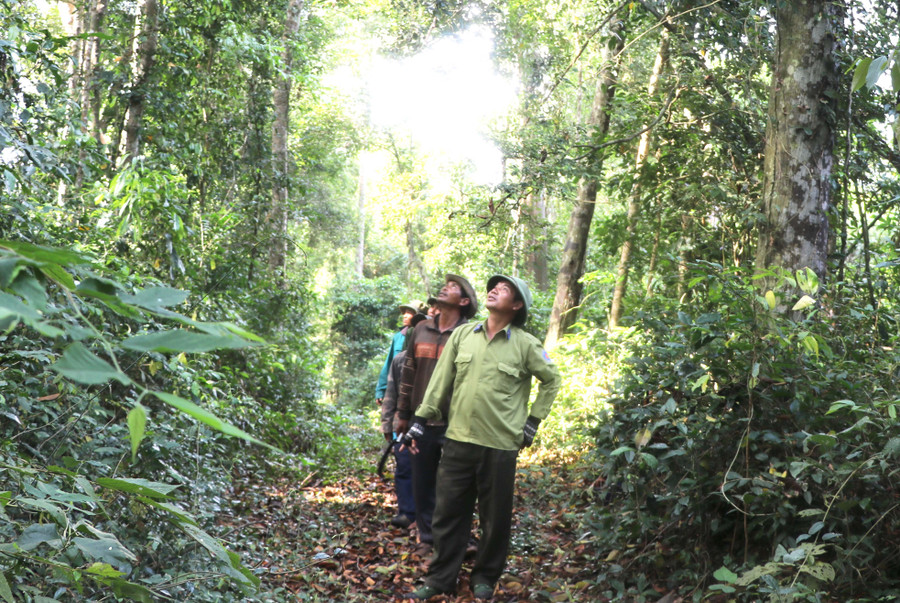 Tổ bảo vệ rừng đã bổ sung lực lượng, tăng thời gian kiểm soát, bảo vệ rừng tại chỗ hiệu quả. Ảnh: Ngọc Minh Tổ bảo vệ rừng đã bổ sung lực lượng, tăng thời gian kiểm soát, bảo vệ rừng tại chỗ hiệu quả. Ảnh: Ngọc Minh