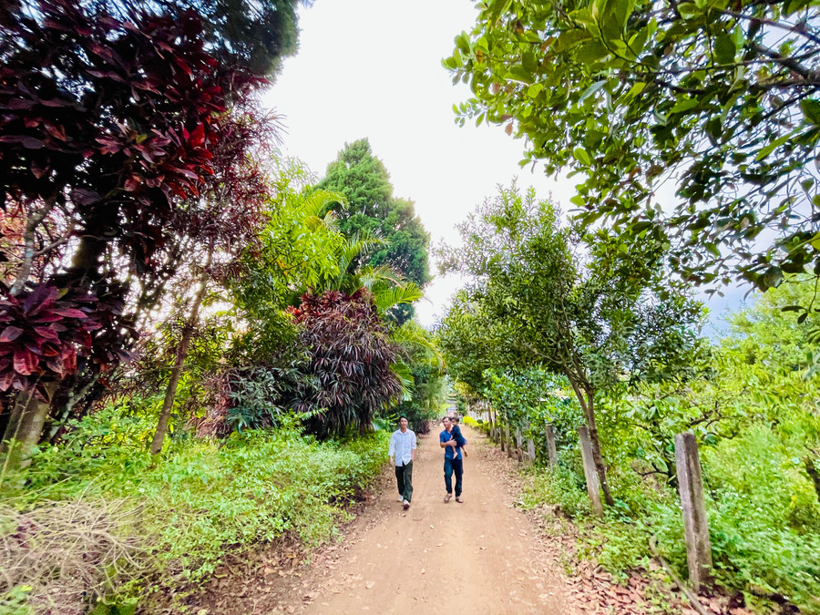 Nông trại là nơi nhiều du khách tới tham quan và tìm hiểu về nông nghiệp bền vững. Ảnh: Mai Ka