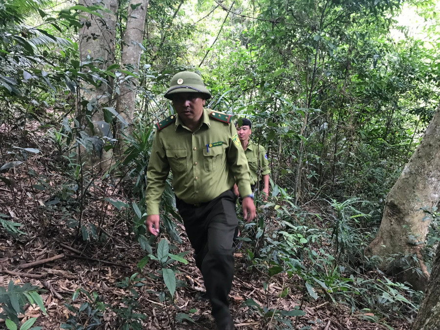 Lực lượng kiểm lâm Kbang phối hợp với lực lượng bảo vệ rừng Vườn Quốc gia Kon Ka Kinh cùng tuần tra. Ảnh: Bảo Trang Lực lượng kiểm lâm Kbang phối hợp với lực lượng bảo vệ rừng Vườn Quốc gia Kon Ka Kinh cùng tuần tra. Ảnh: Bảo Trang