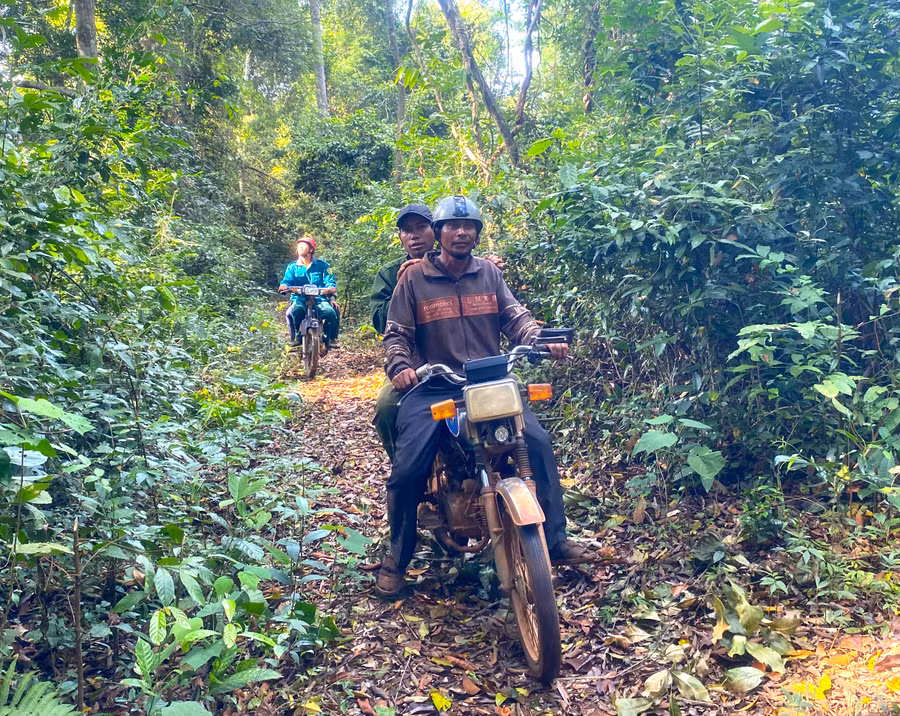 Ông Đinh Tôi-Tổ trưởng tổ nhận khoán bảo vệ rừng làng Cam (xã Đak Smar, huyện Kbang) cùng thành viên đi tuần tra khu vực rừng quản lý. Ảnh: Ngọc Minh