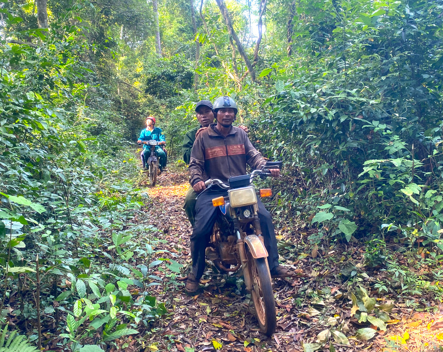 Ông Đinh Tôi-Tổ trưởng tổ nhận khoán bảo vệ rừng làng Cam (xã Đak Smar, huyện Kbang) cùng thành viên đi tuần tra khu vực rừng quản lý. Ảnh: Ngọc Minh Ông Đinh Tôi-Tổ trưởng tổ nhận khoán bảo vệ rừng làng Cam (xã Đak Smar, huyện Kbang) cùng thành viên đi tuần tra khu vực rừng quản lý. Ảnh: Ngọc Minh