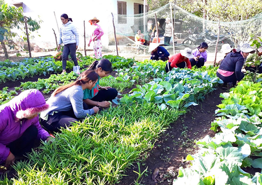 Lớp học trồng rau an toàn do Trung tâm Giáo dục nghề nghiệp-Giáo dục thường xuyên huyện Ia Grai tổ chức. Ảnh: Minh Phương