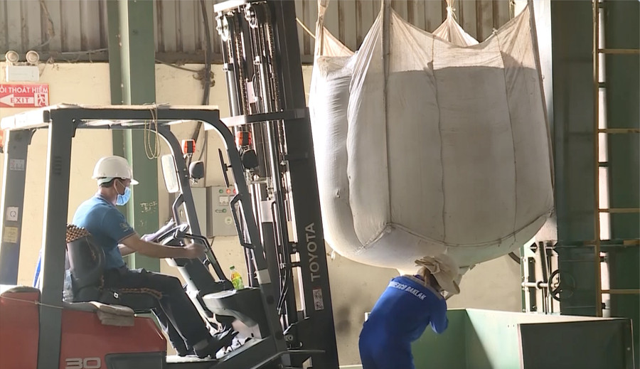 Trong những năm qua, công nhân ở một số doanh nghiệp lớn tại Đắk Lắk luôn được chủ doanh nghiệp quan tâm, đảm bảo an toàn vệ sinh trong quá trình lao động sản xuất. Ảnh: Bảo Trung Trong những năm qua, công nhân ở một số doanh nghiệp lớn tại Đắk Lắk luôn được chủ doanh nghiệp quan tâm, đảm bảo an toàn vệ sinh trong quá trình lao động sản xuất. Ảnh: Bảo Trung