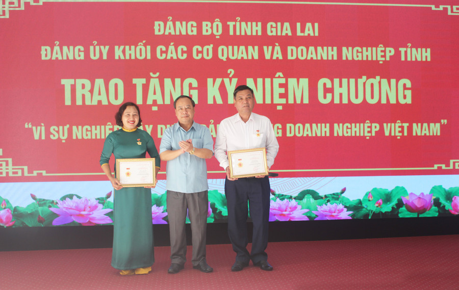 Đồng chí Châu Ngọc Tuấn-Phó Bí thư Thường trực Tỉnh ủy, Trưởng đoàn đại biểu Quốc hội tỉnh trao kỷ niệm chương “Vì sự nghiệp xây dựng Đảng trong doanh nghiệp Việt Nam” cho 2 cá nhân. Ảnh: Phan Lài