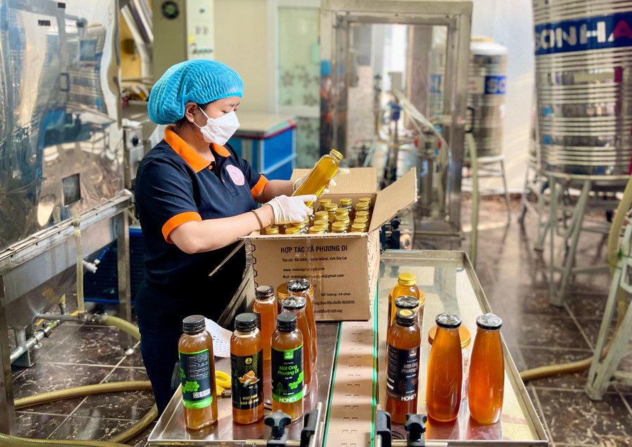 Mật ong là một trong những mặt hàng có nhiều tiềm năng xuất khẩu sang các nước Châu Á. Ảnh: Vũ Thảo