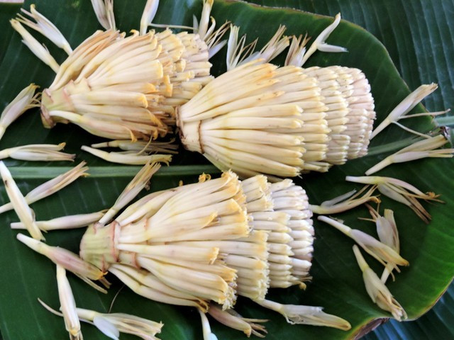 Hoa chuối chứa nhiều chất xơ, khoáng chất và chất chống oxy hóa Hoa chuối chứa nhiều chất xơ, khoáng chất và chất chống oxy hóa