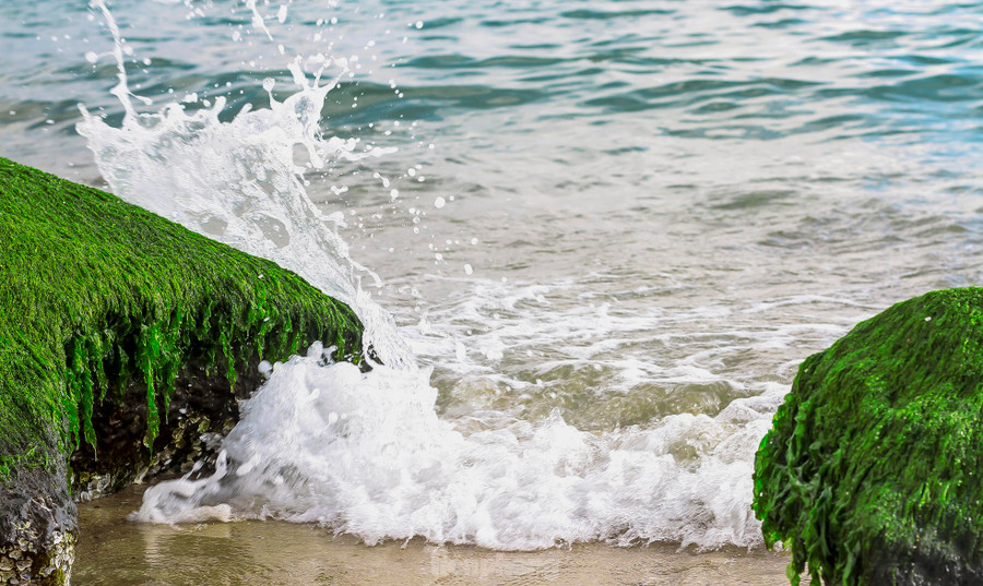 Sóng biển xô vào những phiến đá phủ đầy rêu xanh. Sóng biển xô vào những phiến đá phủ đầy rêu xanh.