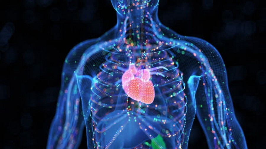 (Nguồn: Getty images) (Nguồn: Getty images)