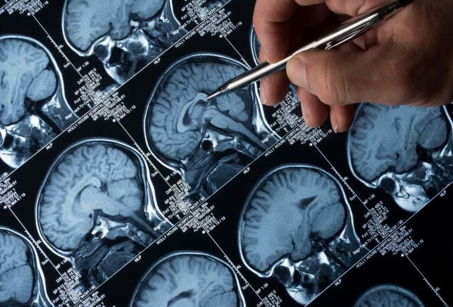 Ảnh minh họa. (Nguồn: Getty/iStock) Ảnh minh họa. (Nguồn: Getty/iStock)