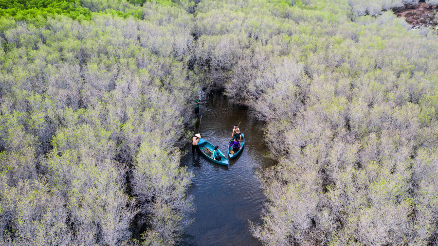 Được hội tụ cảnh đẹp của thiên nhiên đất trời, hòa quyện với con người nơi đây &quot;chất phác, hiền hòa&quot;, có đời sống văn hóa phong phú, đa dạng. Nhiều năm qua, Bàu Cá Cái đã dần trở thành điểm đến của nhiều du khách