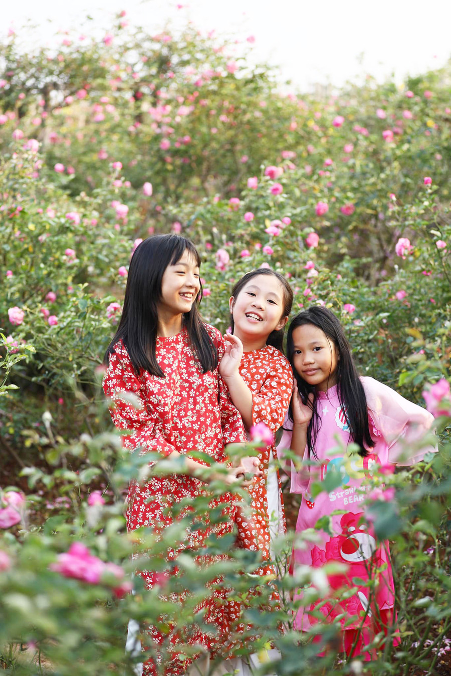 Nhờ sự dày công chăm sóc của con người, những vườn hoa ở phố núi Pleiku luôn rực rỡ, thu hút đông đảo người dân đến tham quan, chụp ảnh. Ảnh: N.T.D