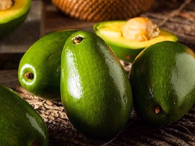 Trái bơ không chỉ giàu vitamin, chất chống ô xy hóa mà còn là nguồn cung cấp chất béo lành mạnh rất có lợi cho sức khỏe