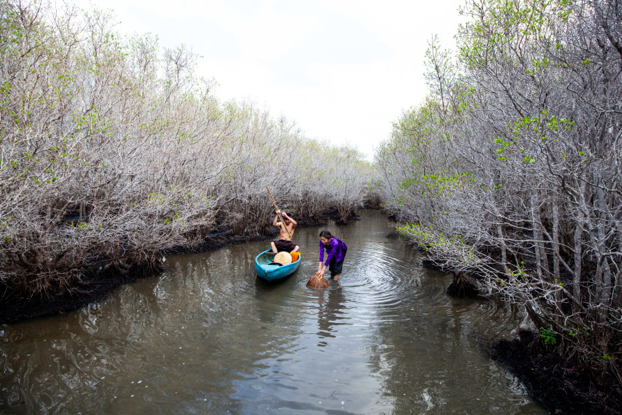 Ông Đỗ Minh Huấn, Chủ tịch UBND xã Bình Thuận, cho biết Bàu Cá Cái là một vùng đầm ngập mặn, rộng khoảng 200 ha. Bàu Cá Cái được bao bọc xung quanh bởi các dãy núi và đồi cát hình thành lâu đời, cách đây hơn 200 năm, mang trong mình dấu tích xưa cũ. Với đặc thù nằm trong Khu Kinh tế Dung Quất, vốn hoạt động sản xuất công nghiệp náo nhiệt nhưng Bàu Cá Cái vẫn giữ được sự bình yên, mang vẻ đẹp hoang sơ tự nhiên hiếm có, được người dân bảo vệ chăm sóc