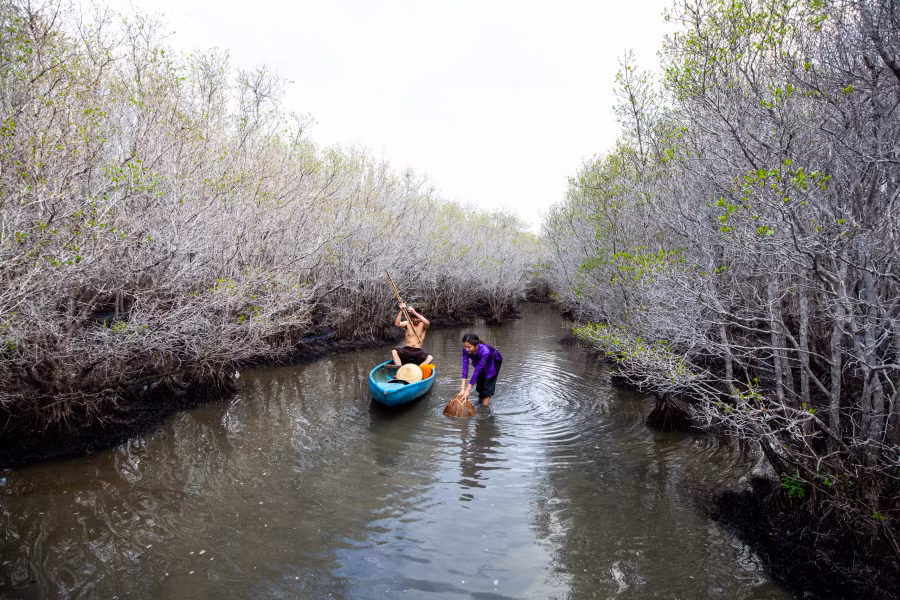 Ông Đỗ Minh Huấn, Chủ tịch UBND xã Bình Thuận, cho biết Bàu Cá Cái là một vùng đầm ngập mặn, rộng khoảng 200 ha. Bàu Cá Cái được bao bọc xung quanh bởi các dãy núi và đồi cát hình thành lâu đời, cách đây hơn 200 năm, mang trong mình dấu tích xưa cũ. Với đặc thù nằm trong Khu Kinh tế Dung Quất, vốn hoạt động sản xuất công nghiệp náo nhiệt nhưng Bàu Cá Cái vẫn giữ được sự bình yên, mang vẻ đẹp hoang sơ tự nhiên hiếm có, được người dân bảo vệ chăm sóc