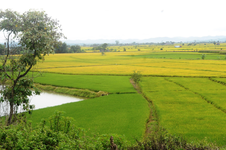 Phát triển của các vùng nông nghiệp ứng dụng công nghệ cao chưa thật sự nổi bật so với các khu vực xung quanh