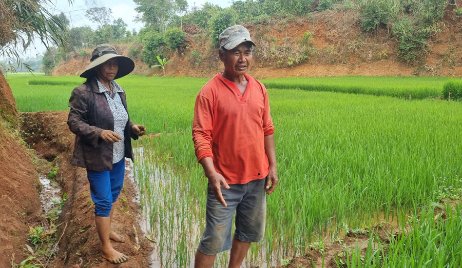 Vợ chồng ông Rơ Lan Heo (làng Nhao 2, xã Ia Kênh) phản ánh về cơ sở nuôi heo gây ô nhiễm môi trường. Ảnh: K.P Vợ chồng ông Rơ Lan Heo (làng Nhao 2, xã Ia Kênh) phản ánh về cơ sở nuôi heo gây ô nhiễm môi trường. Ảnh: K.P