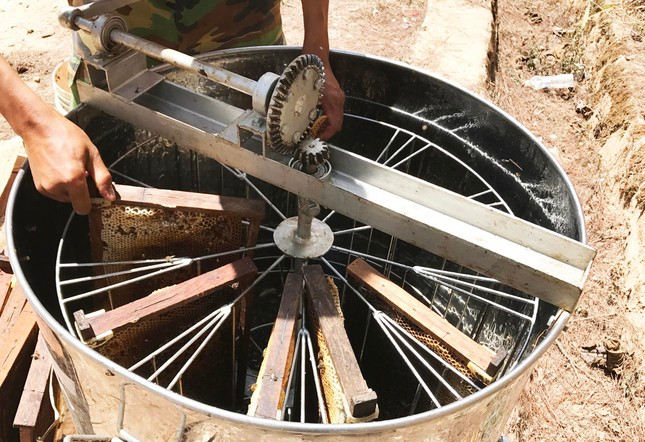 Xếp các cầu vào thùng rồi quay lấy mật