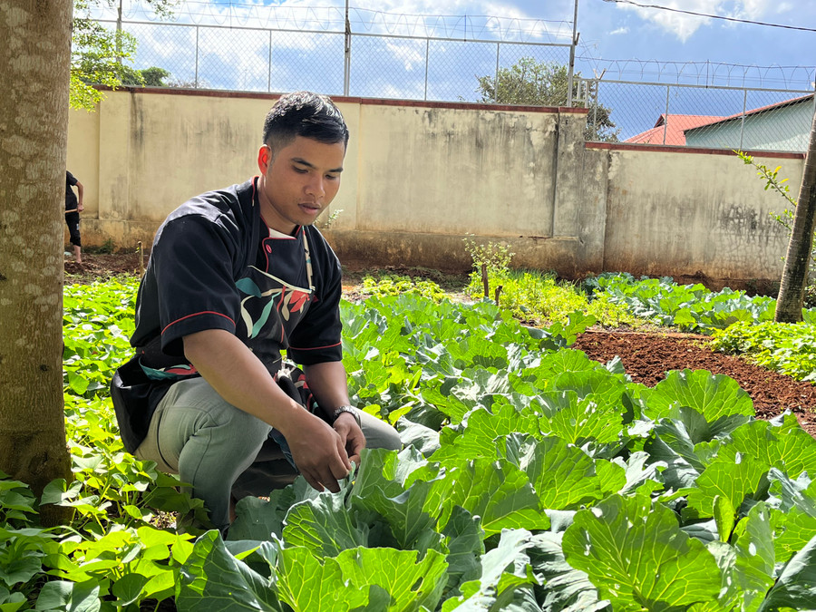 Anh Rơ Châm Lực cùng mọi người trong Trung tâm trồng rau xanh nhằm cải thiện bữa ăn hàng ngày. Ảnh: P.L Anh Rơ Châm Lực cùng mọi người trong Trung tâm trồng rau xanh nhằm cải thiện bữa ăn hàng ngày. Ảnh: P.L