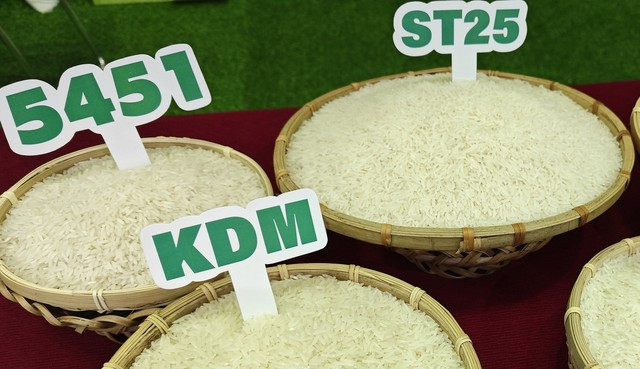 Gạo ST25 xuất khẩu giá bình quân chưa đến 24.000 đồng/kg
