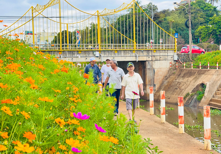 Các loại hoa đua nhau khoe sắc, trở thành điểm đến thú vị cho nhiều người. Ảnh: M.K Các loại hoa đua nhau khoe sắc, trở thành điểm đến thú vị cho nhiều người. Ảnh: M.K