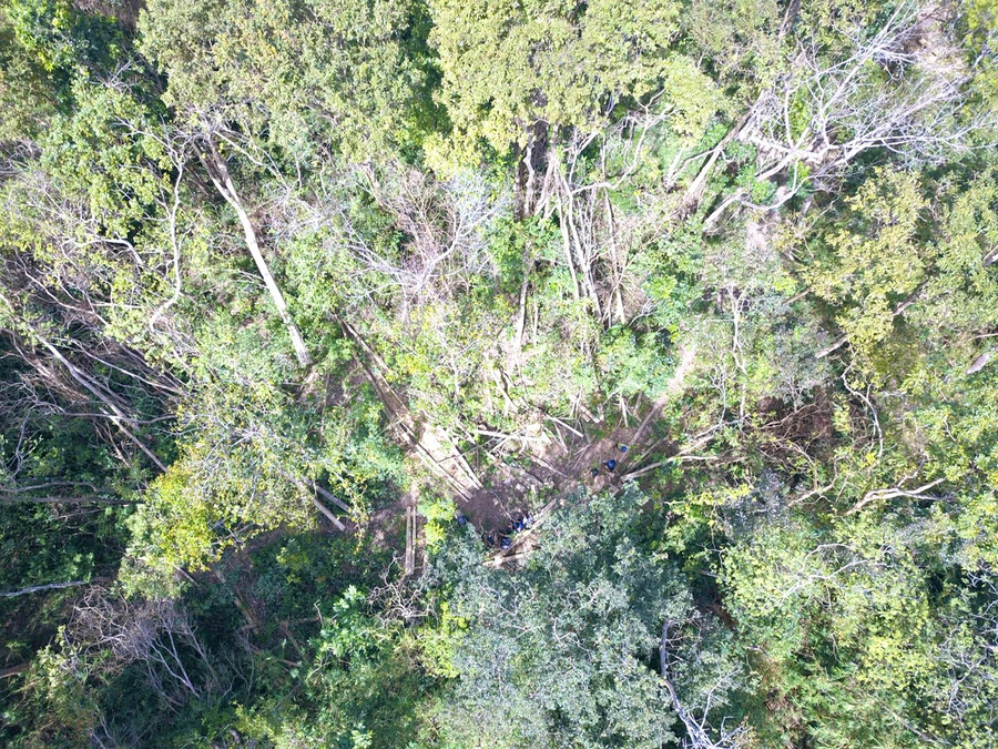 Một vụ phá rừng xảy ra vào tháng 2-2023 tại địa giới hành chính xã Sró thuộc lâm phần Công ty TNHH một thành viên Lâm nghiệp Kông H'de quản lý. Ảnh: M.N Một vụ phá rừng xảy ra vào tháng 2-2023 tại địa giới hành chính xã Sró thuộc lâm phần Công ty TNHH một thành viên Lâm nghiệp Kông H'de quản lý. Ảnh: M.N