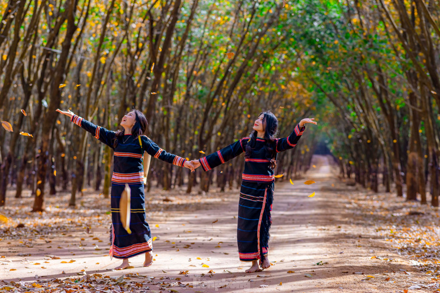 Hai thiếu nữ mặc trang phục người Ê đê săn khoảnh khắc những chiếc lá cao su rụng xuống Hai thiếu nữ mặc trang phục người Ê đê săn khoảnh khắc những chiếc lá cao su rụng xuống