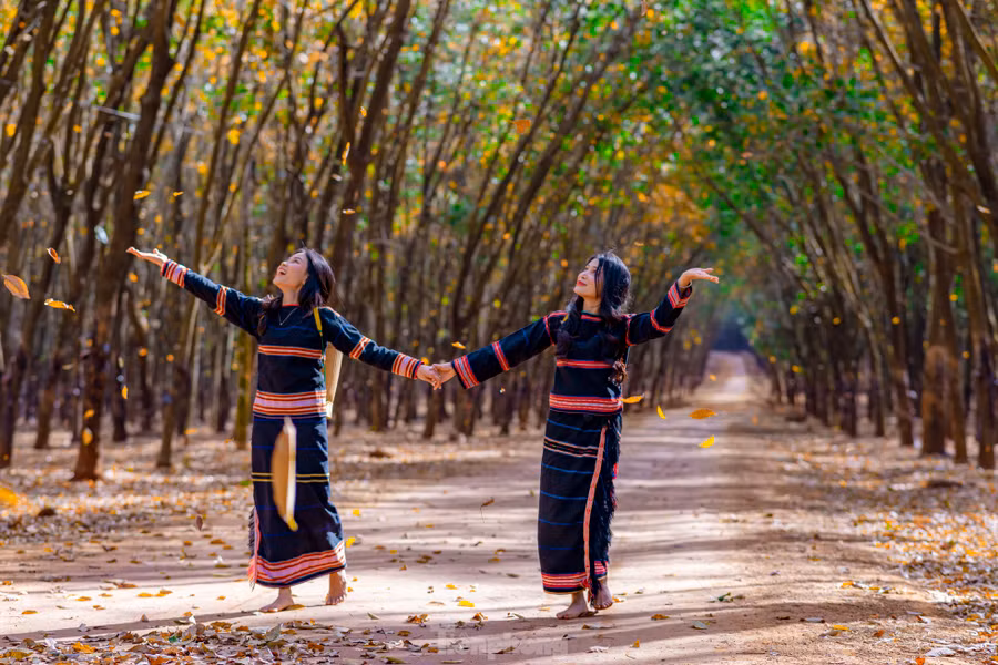 Hai thiếu nữ mặc trang phục người Ê đê săn khoảnh khắc những chiếc lá cao su rụng xuống