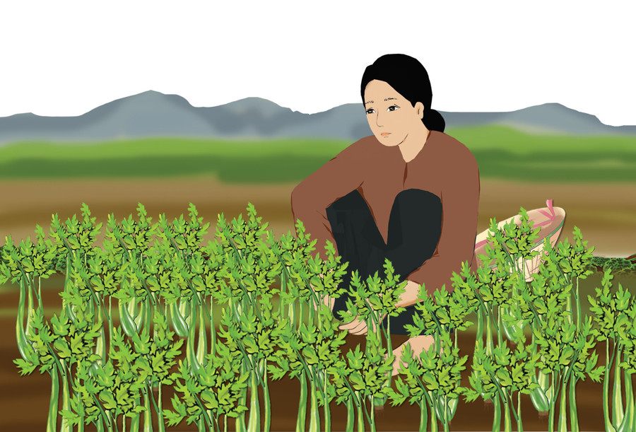 Minh họa: Huyền Trang Minh họa: Huyền Trang