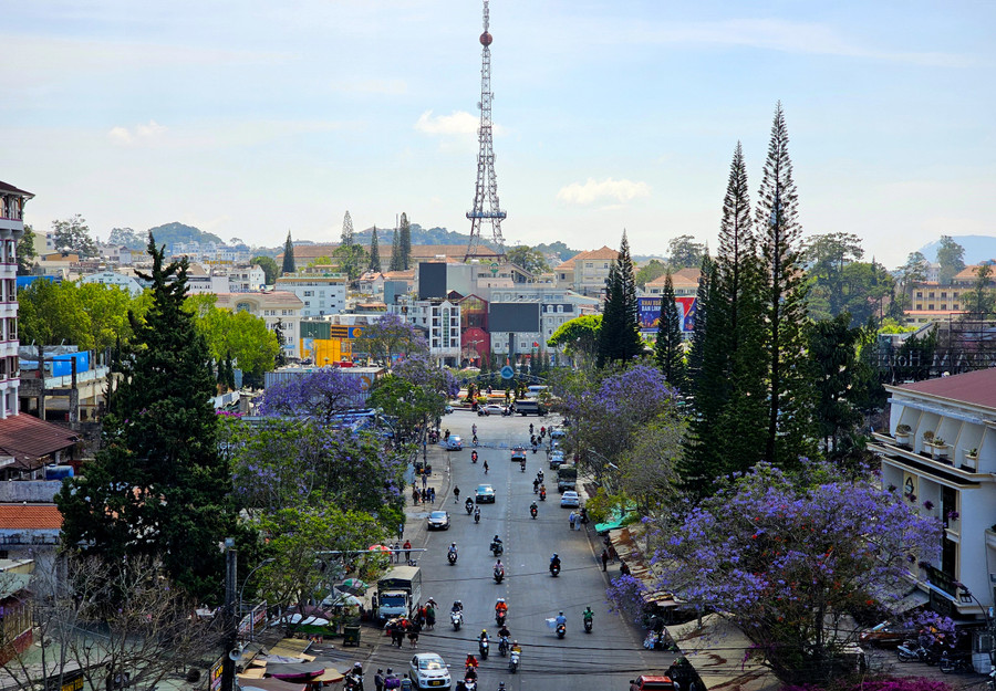Phượng tím đường Nguyễn Thị Minh Khai nhìn từ góc cao nhất của chợ Đà Lạt. Hoa thường nở rộ vào tháng 3 và kết thúc vào tháng 4.