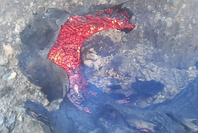 Tuy nhiên, tại các điểm này vẫn có nguy cơ bùng phát trở lại, lực lượng chức năng được cắt cử canh trực lửa, tránh bùng phát trở lại Tuy nhiên, tại các điểm này vẫn có nguy cơ bùng phát trở lại, lực lượng chức năng được cắt cử canh trực lửa, tránh bùng phát trở lại