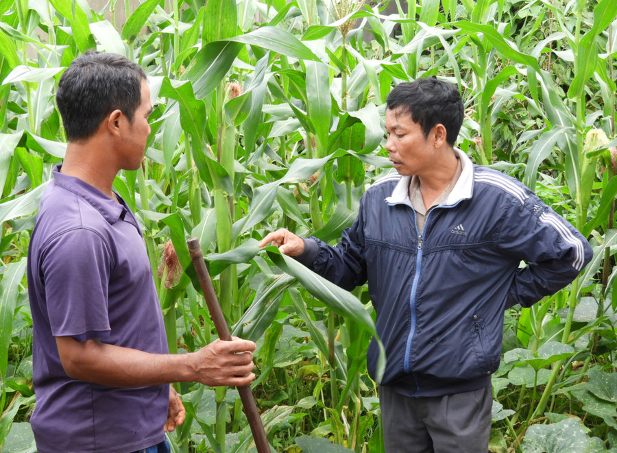 Nông dân xã Ia Sao huyện Ia Grai trao đổi kinh nghiệm sản xuất. Ảnh: Thanh Nhật