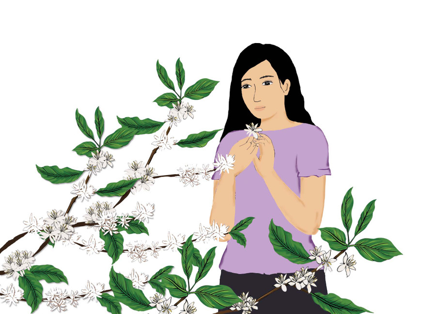 Minh họa: Huyền Trang Minh họa: Huyền Trang