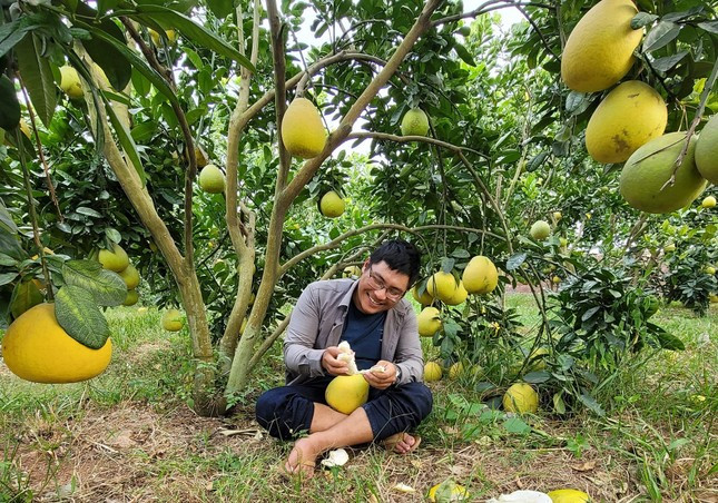 Anh Nguyễn Văn Đạt bên vườn cây ăn trái của mình. Ảnh: NVCC Anh Nguyễn Văn Đạt bên vườn cây ăn trái của mình. Ảnh: NVCC