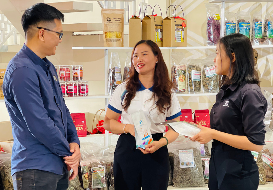 Các thành viên CLB Khởi nghiệp trẻ và sáng tạo Pleiku gặp gỡ, chia sẻ kinh nghiệm. Ảnh: M.K Các thành viên CLB Khởi nghiệp trẻ và sáng tạo Pleiku gặp gỡ, chia sẻ kinh nghiệm. Ảnh: M.K