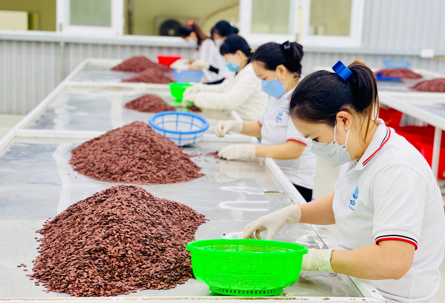 Các mặt hàng nông sản qua chế biến ngày một đa dạng. Ảnh: V.T