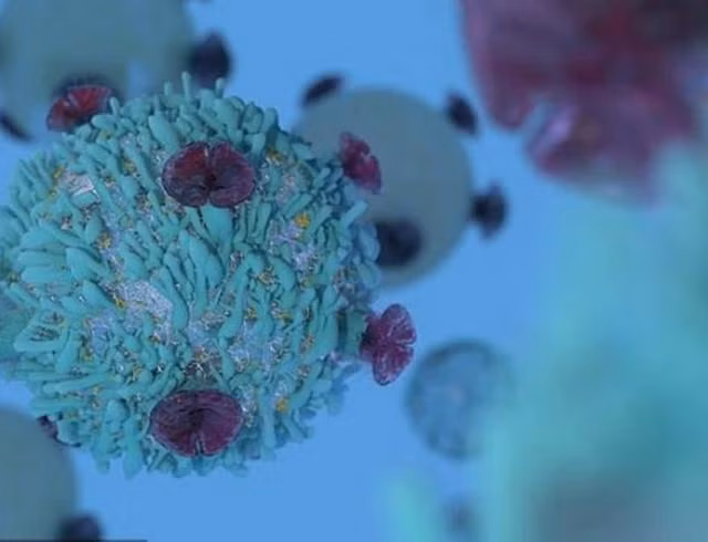 Các nhà khoa học đã tìm ra cách tăng sức mạnh cho tế bào T để chúng có thể tiêu diệt tế bào ung thư, mà không trở nên độc hại