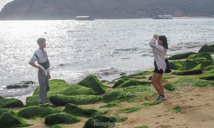 Người dân, du khách tranh thủ lúc trời vừa sáng, nắng đẹp check-in bên bãi đá rêu xanh. Người dân, du khách tranh thủ lúc trời vừa sáng, nắng đẹp check-in bên bãi đá rêu xanh.