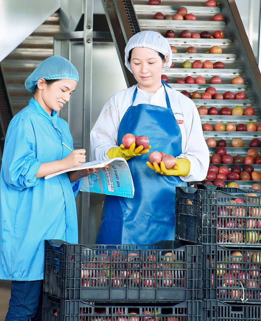 Công nhân Công ty TNHH Quicornac tích cực lao động sản xuất. Ảnh: Đinh Yến Công nhân Công ty TNHH Quicornac tích cực lao động sản xuất. Ảnh: Đinh Yến