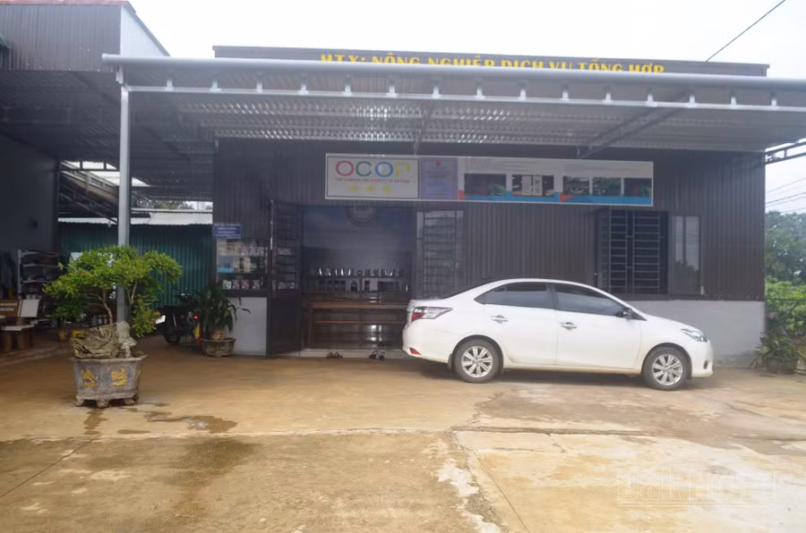 Hợp tác xã nông nghiệp ở Đắk Nông cần được trợ lực mạnh mẽ hơn để phát triển