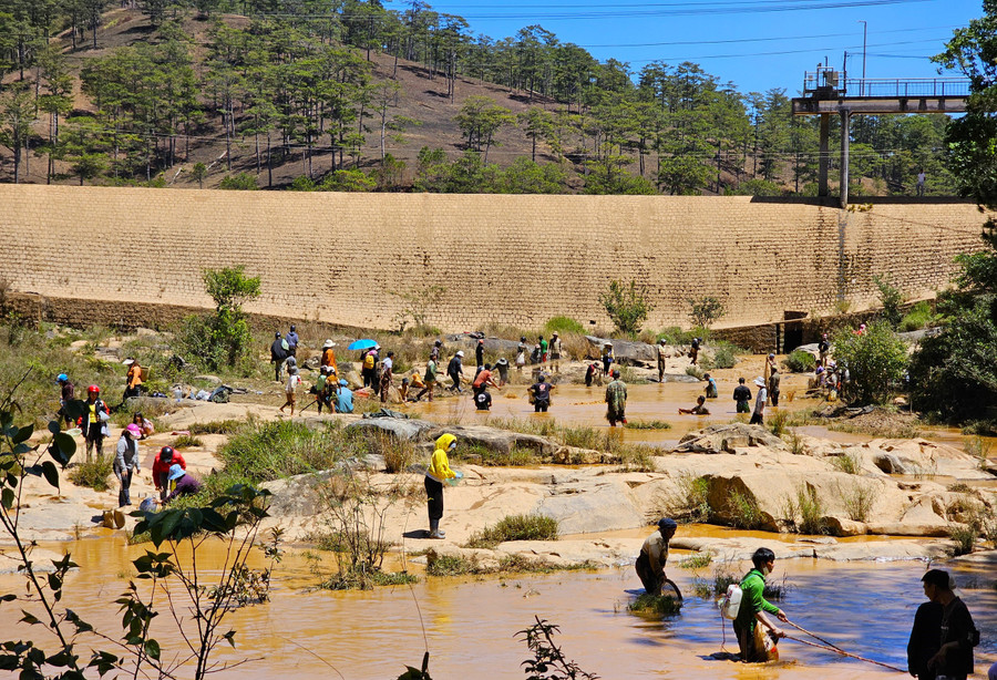 Một góc suối trở nên sôi động với tiếng gọi nhau bắt cá hay tiếng reo thích thú khi bắt được cá to.