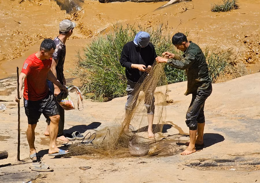 Một nhóm khác quăng lưới dính được con cá trê khá lớn.