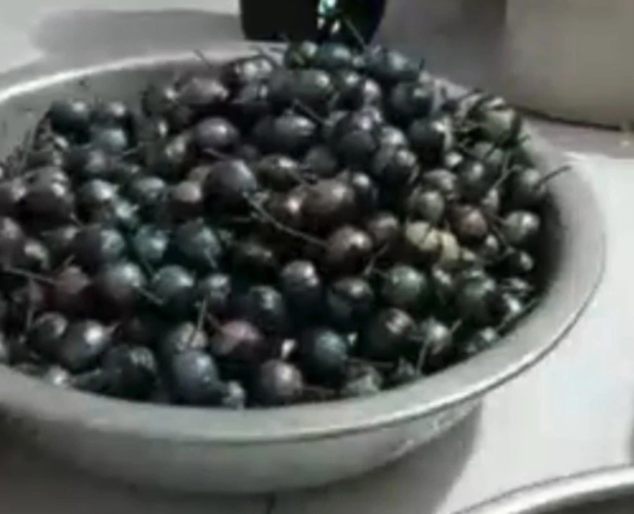 Tài gọi video, cho xem cảnh đang chế tạo pháo banh