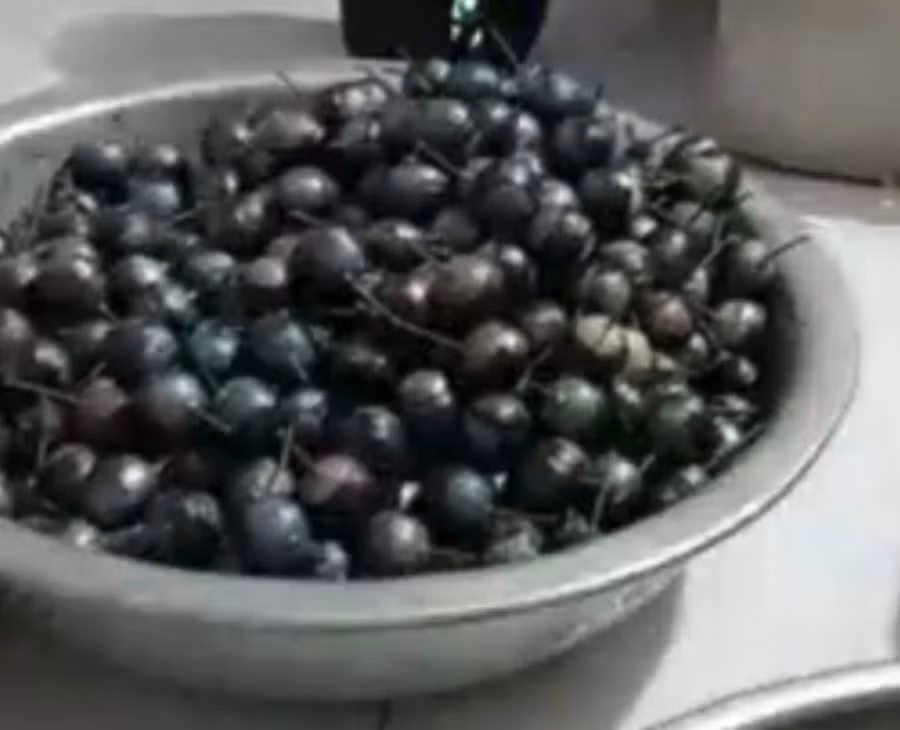 Tài gọi video, cho xem cảnh đang chế tạo pháo banh