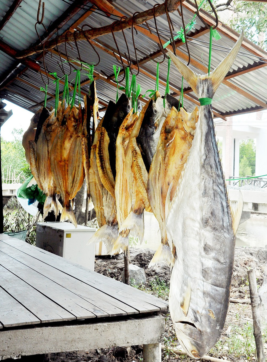 Đặc sản khô cá ở miền Tây Đặc sản khô cá ở miền Tây