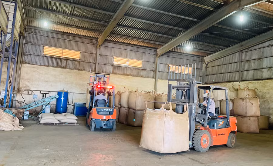 Các sản phẩm nông nghiệp chủ lực đều gắn với các nhà máy lớn trên địa bàn tỉnh. Ảnh: V.T