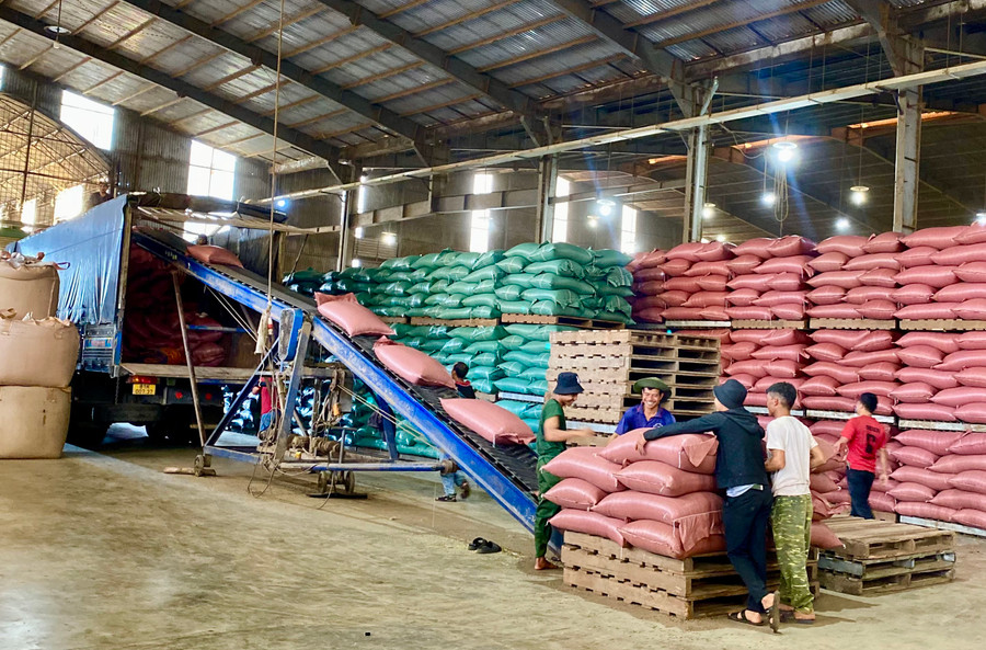 Gia Lai đang triển khai nhiều giải pháp để &quot;tiếp sức&quot; cho doanh nghiệp hoạt động ổn định. Ảnh: Hà Duy