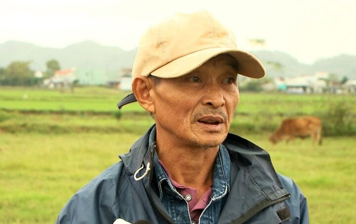 Ông Hồ Văn Hướng (thôn Thọ Nghĩa, xã Phước Nghĩa, Tuy Phước) bức xúc vì 5 năm nay không có ruộng để canh tác. Ông Hồ Văn Hướng (thôn Thọ Nghĩa, xã Phước Nghĩa, Tuy Phước) bức xúc vì 5 năm nay không có ruộng để canh tác.