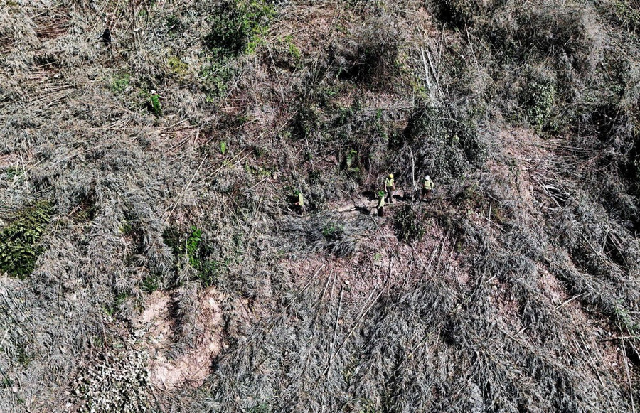 Hiện trường vụ phá rừng trên lâm phần được giao cho Ban Quản lý Rừng phòng hộ Đắk R’măng (trực thuộc Sở Nông nghiệp và Phát triển Nông thôn Đắk Nông). Ảnh: TTXVN phát Hiện trường vụ phá rừng trên lâm phần được giao cho Ban Quản lý Rừng phòng hộ Đắk R’măng (trực thuộc Sở Nông nghiệp và Phát triển Nông thôn Đắk Nông). Ảnh: TTXVN phát