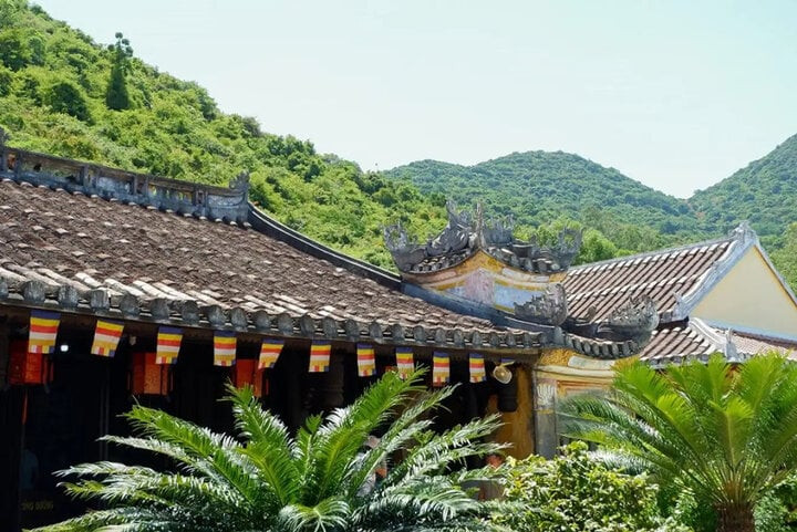 Chùa Hải Tạng là ngôi chùa có lịch sử hình thành lên đến trăm năm. Chùa Hải Tạng là ngôi chùa có lịch sử hình thành lên đến trăm năm.