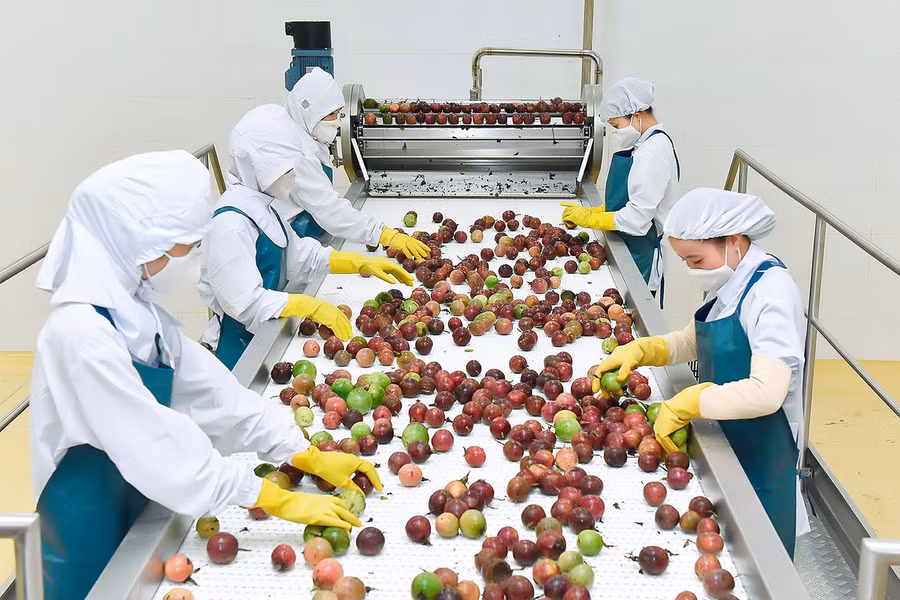 Công nghiệp chế biến đóng vai trò chủ đạo, tạo ra giá trị gia tăng lớn nhất cho khu vực công nghiệp. Ảnh: Đ.T